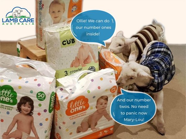 2020 Nappy drive with Animal Rescue Australia - Lamb Care Australia