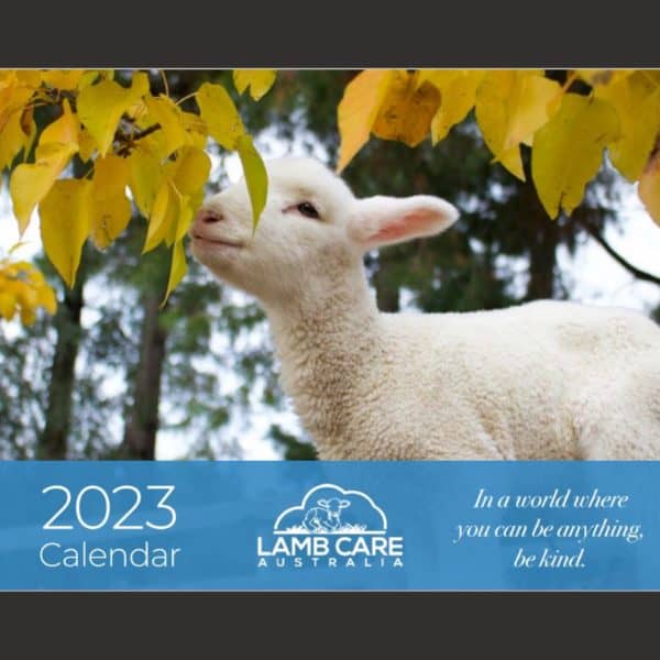 Merchandise Shop Lamb Care Australia