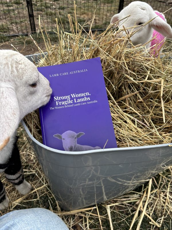The Women Behind Lamb Care Australia [Book + Mug + Certificate] - Image 3